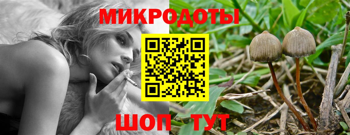 Псилоцибиновые грибы MAGIC MUSHROOMS Сорочинск